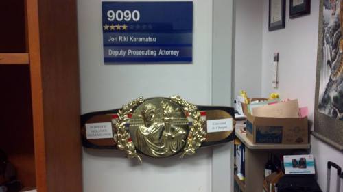 130809 DVM win belt