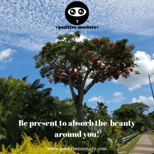 Live in the present an absorb all the beauty around you!