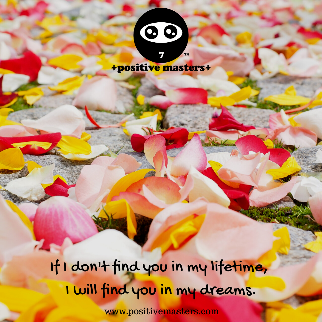 If I don't find you in my lifetime, I will find you in my dreams.